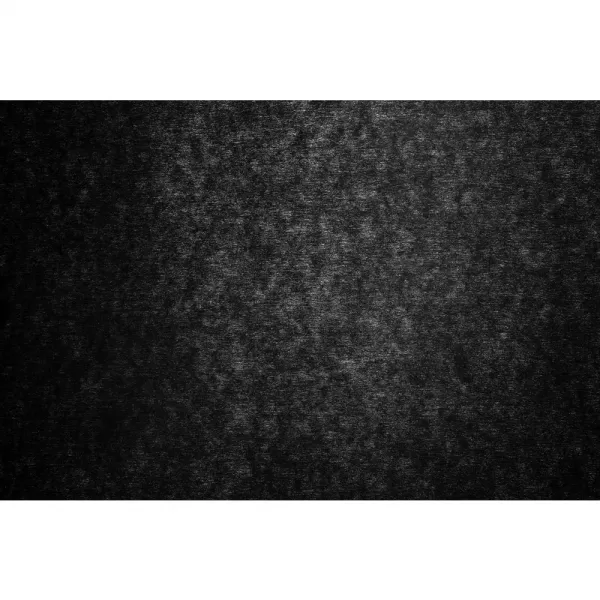 Filtr s aktivním uhlíkem CAN2 PHILCO