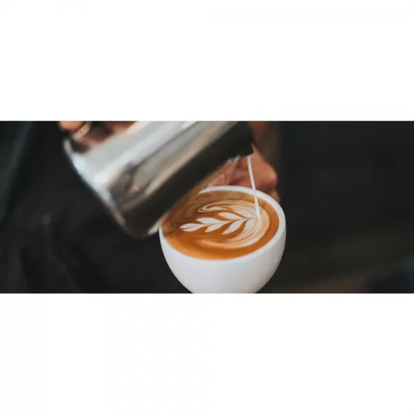 Espresso SAGE BES875BKS