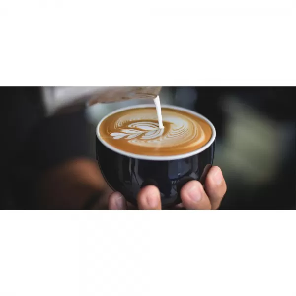 Espresso SAGE BES875BKS