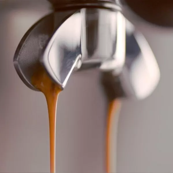 Espresso SAGE BES875BKS