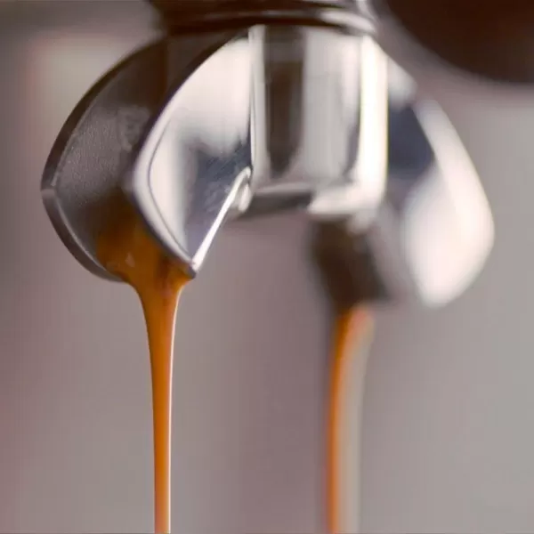 Espresso SAGE BES875BSS