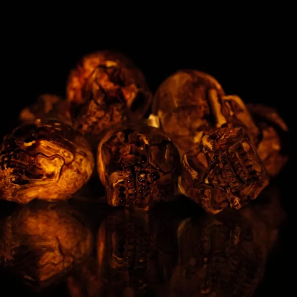 Girlanda lebky hnědá RETLUX RHW 004