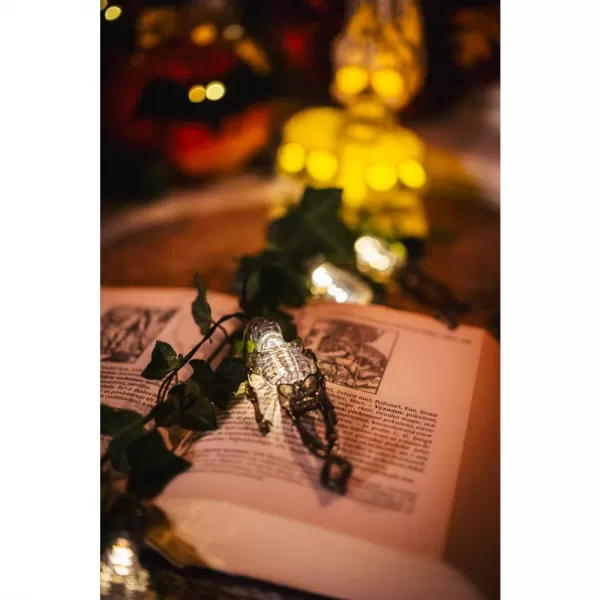 Girlanda kostlivci 10LED WW RETLUX RHW 001