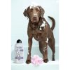Wahl 3999-7030 dog shampoo c&c 750 ml